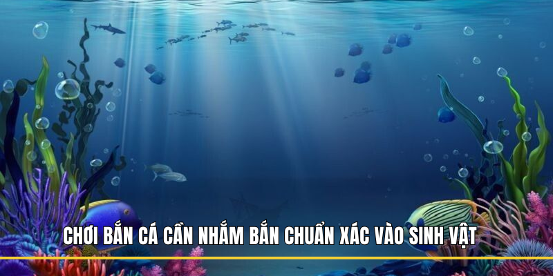 Chơi bắn cá cần nhắm bắn chuẩn xác vào sinh vật