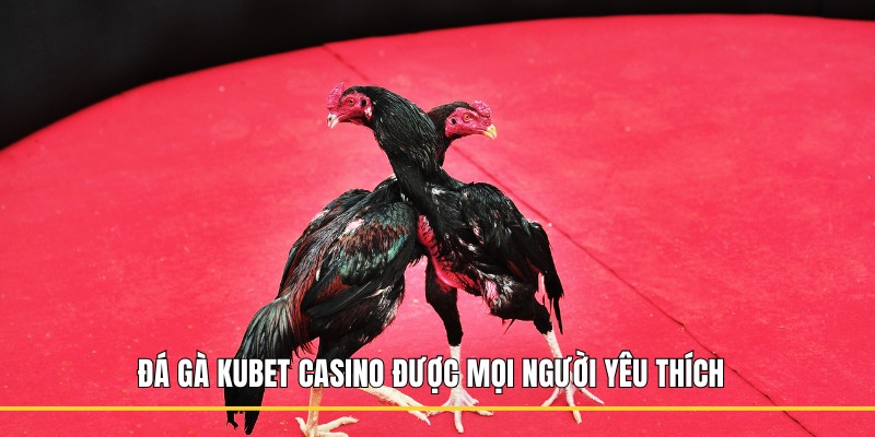 Đá gà Kubet casino được mọi người yêu thích