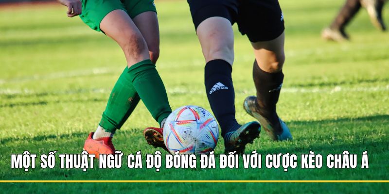 Một số thuật ngữ cá độ bóng đá đối với cược kèo Châu Á