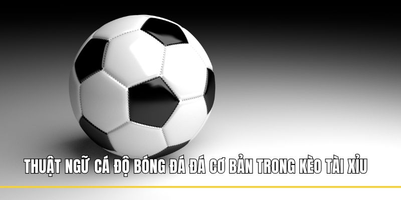 Thuật ngữ cá độ bóng đá đá cơ bản trong kèo tài xỉu